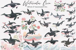 Watercolor Orca Clipart, an Illustration by Designworld