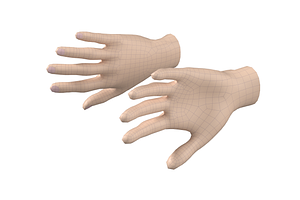 Female Hand Base Mesh 03