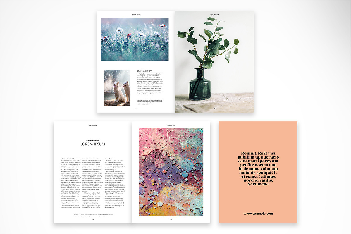 Fresh Catalog, a Print Template by McLittle Stock (Photo 5 of 6)
