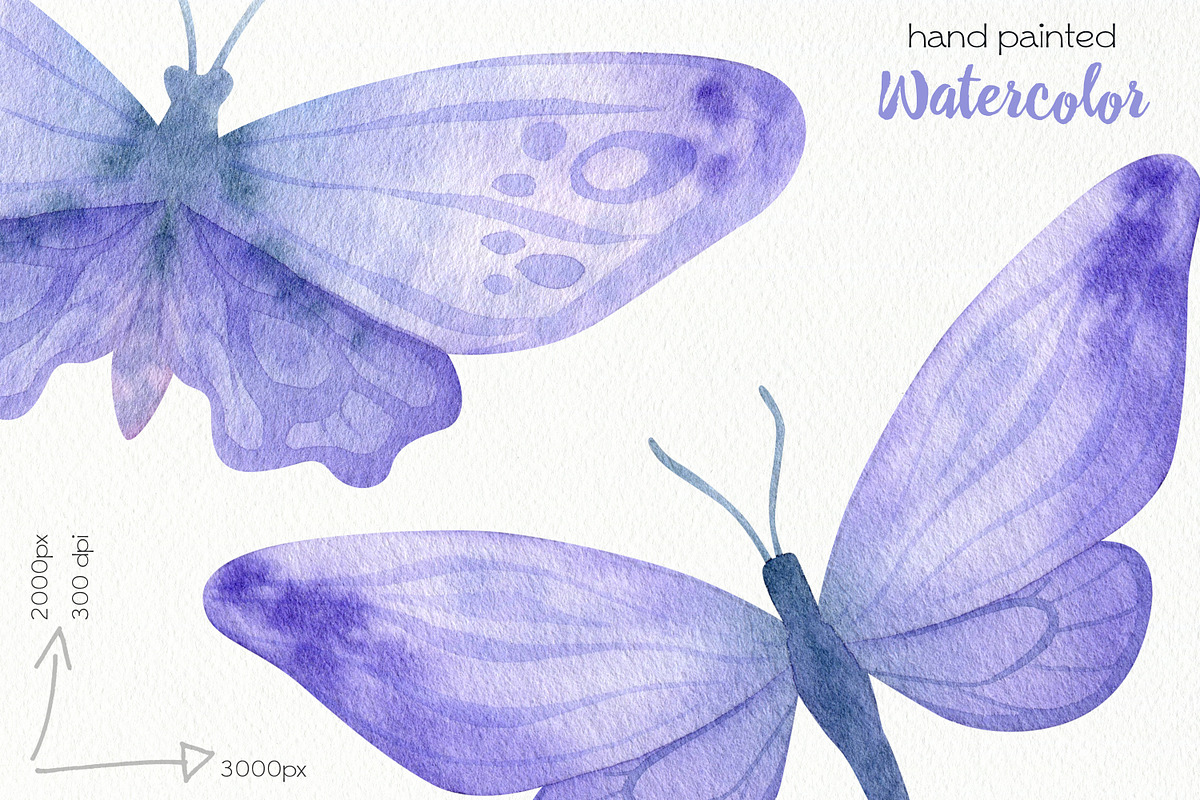 Watercolor Butterfly ClipArt, an Animal Illustration by OllyKo Art (Photo 6 of 7)