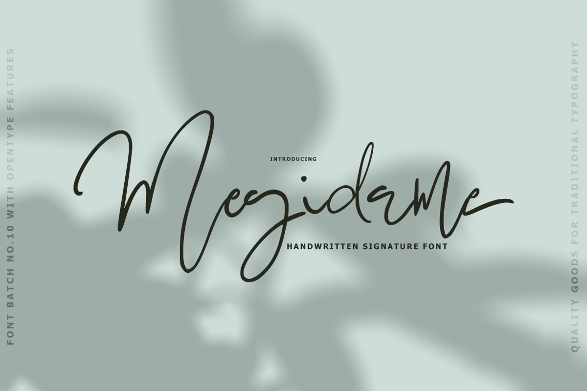 Megidame - Handwritten Signature, a Script Font by tebaltipislab (Photo 1 of 10)