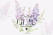 Delicate Lilac Watercolor Clipart, a Decorative Illustration by Primrose Blume (Thumbnail 1 of 4)