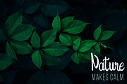 The Prague - Modern Handwritten Font, a Script Font by Wellscript Studio (Thumbnail 2 of 7)