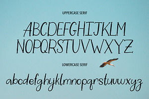 WHITE STORK. A HANDWRITTEN DUO FONT.