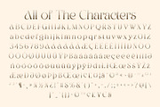 CS Asena Halfpixel, a Serif Font by Craft Supply Co. (Thumbnail 8 of 8)