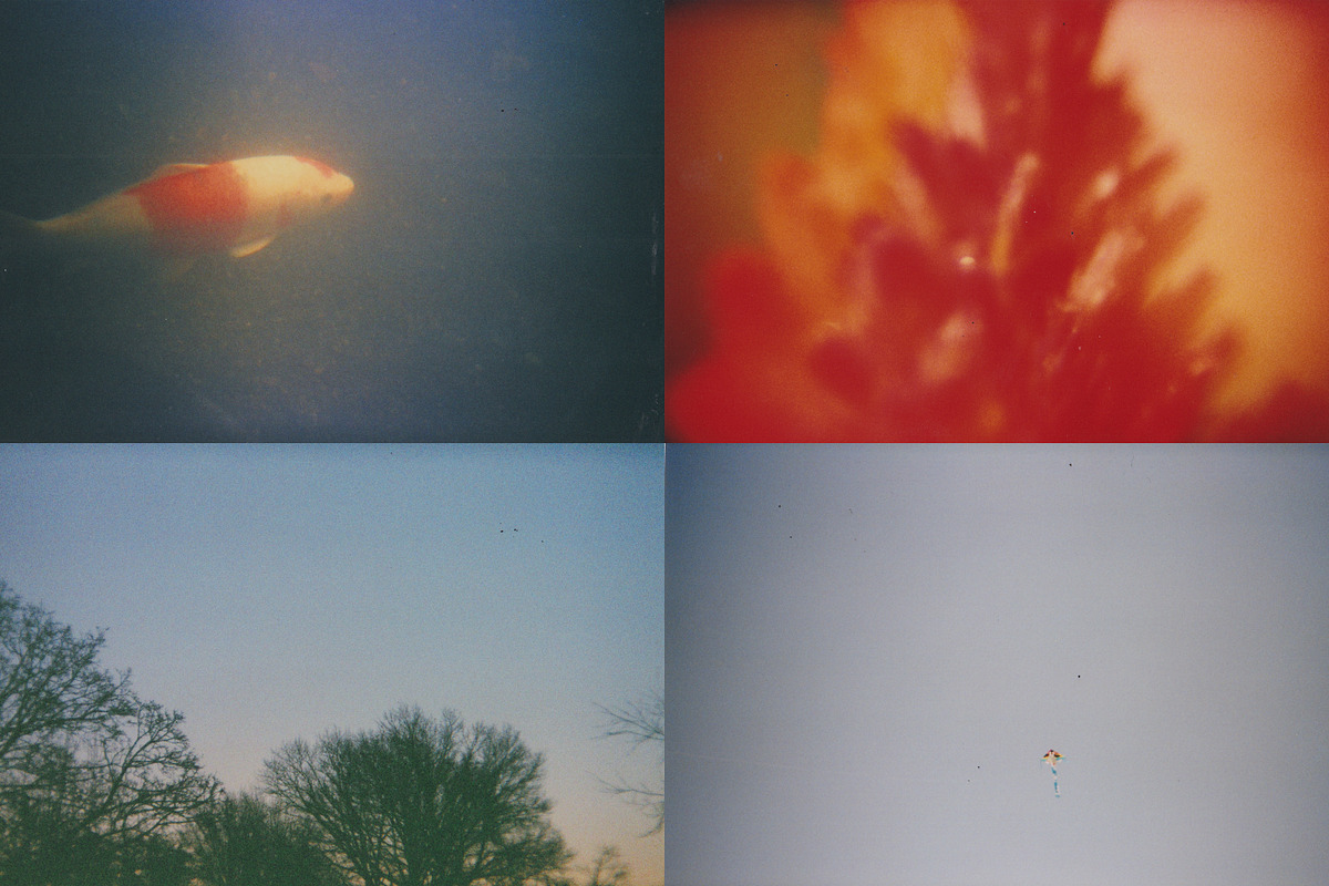 45 Nature Snapshots (Lomo LC-A), a Nature Photo by Studio Rho (Photo 9 of 11)