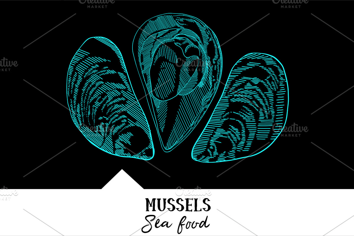 10 vector hand-drawn sea creatures, a Brochure Template by RichmanStudio (Photo 6 of 11)
