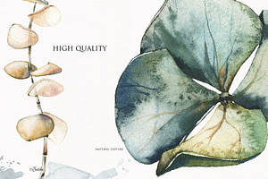 Dreamy Nature -watercolor Collection