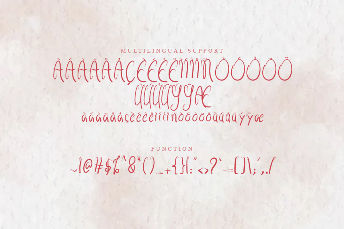 Agidãs, a Script Font by khalwa.studio (Photo 3 of 5)
