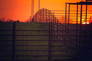 Fence line at Sunset