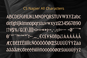 CS Napier – Modern Font, a Serif Font by Craft Supply Co. (Thumbnail 8 of 8)