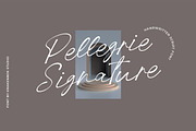Pellegrie Signature - Script, a Script Font by Krakenbox Studio (Thumbnail 1 of 12)
