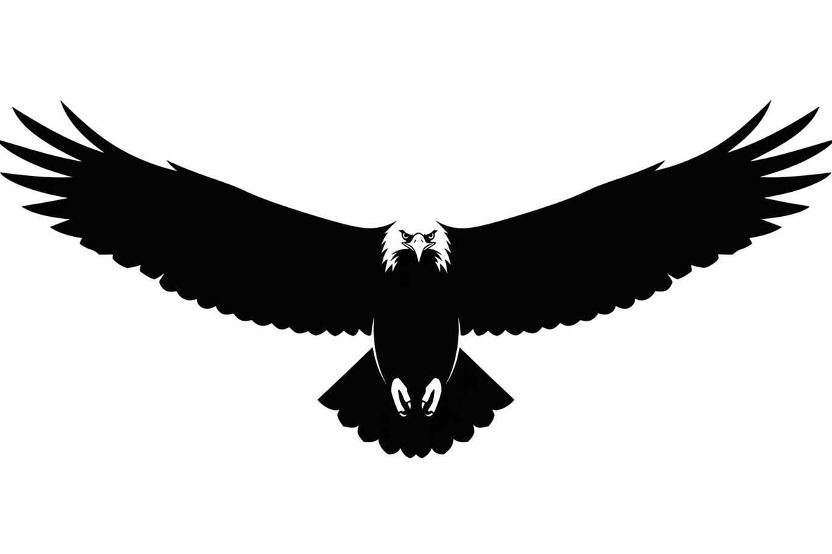 50 Flying Eagle Silhouette Vector Bu, an Illustration by Designs_River (Photo 43 of 51)