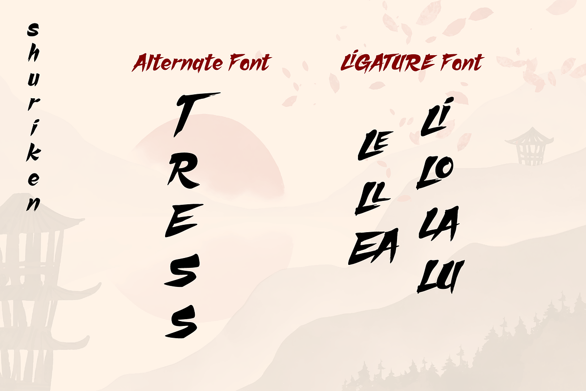 Shuriken, a Handwritten Font by BBtypeStudios (Photo 9 of 9)