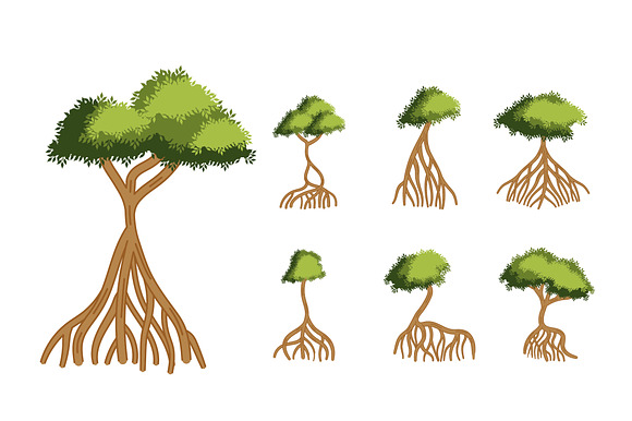 Mangrove Tree Illustration Set