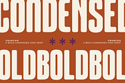 Cruncho - A Bold Condensed Sans, a Sans Serif Font by Ainun Jinan (Thumbnail 3 of 12)