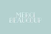 Naive Inline Font Collection, a Serif Font by S&C Type (Thumbnail 10 of 10)