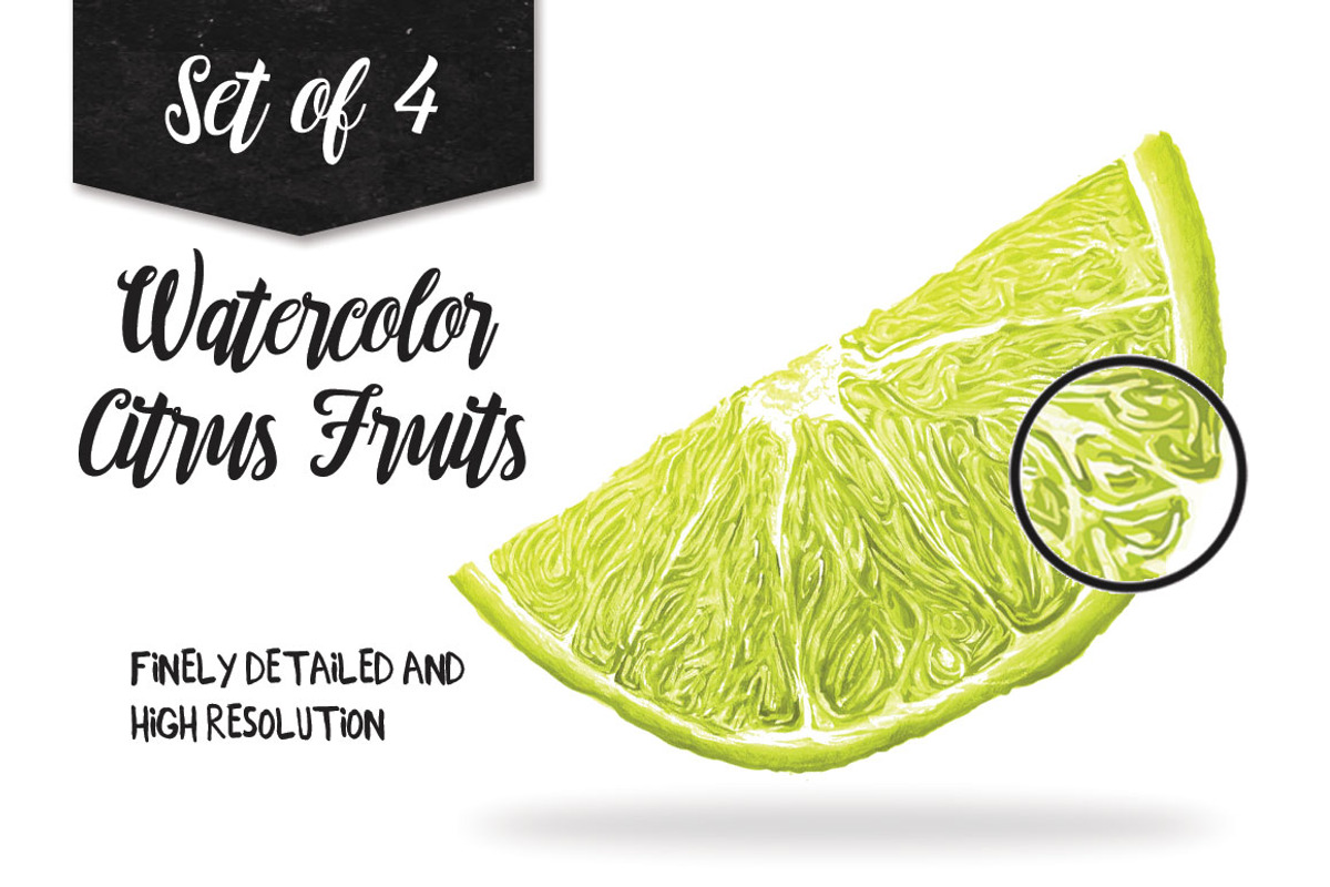 Watercolor Citrus Fruits, a Food Illustration by Curve and Pixel (Photo 2 of 4)
