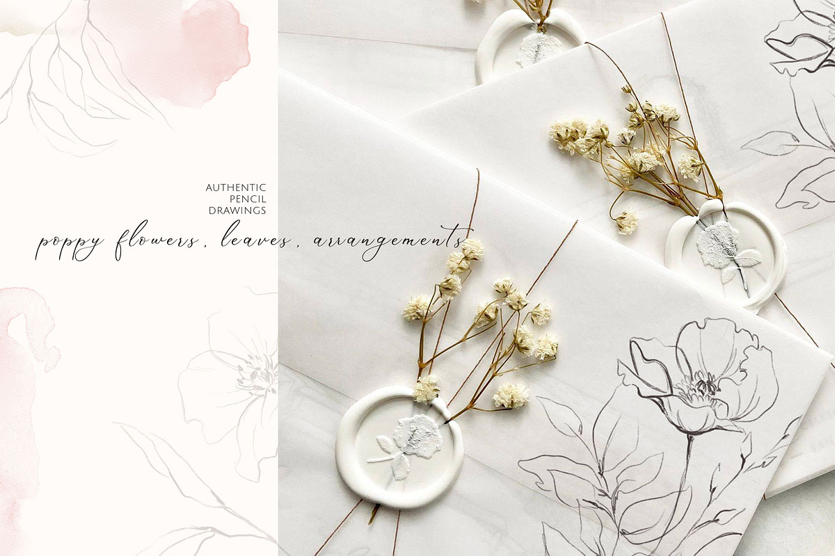 POPPY SUNSET pencil floral sketches, a Decorative Illustration by Yuliia Lashevska (Photo 5 of 10)