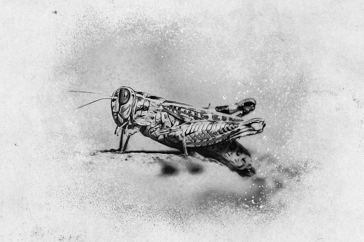 OBSIDIAN Charcoal Photoshop Actions, an Action Add-On by Forefathers (Photo 7 of 9)