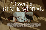 Marleys, a Serif Font by Romiecreative (Thumbnail 5 of 12)