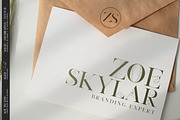 South Epic Dream Font Duo + Logos, a Serif Font by SNIPESCIENTIST (Thumbnail 25 of 32)
