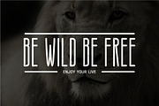 Therlalu - Condensed Sans Serif Font, a Sans Serif Font by PutraCetol Studio (Thumbnail 6 of 7)
