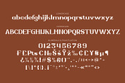 Zellique - Modern Serif Font, a Serif Font by Rishsketch (Thumbnail 12 of 15)