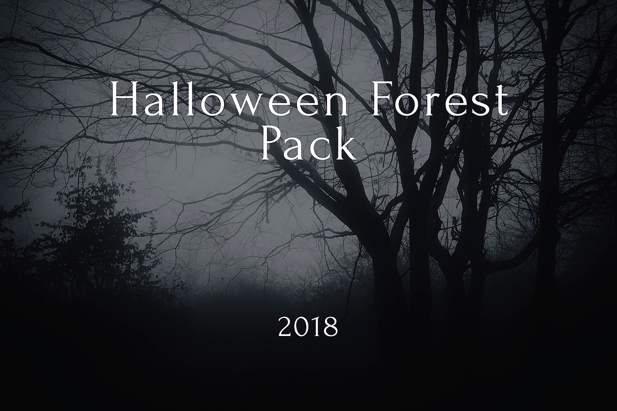 Halloween Forest pack 2018 Hi Res, a Nature Photo by Atmospheric visuals (Photo 1 of 11)