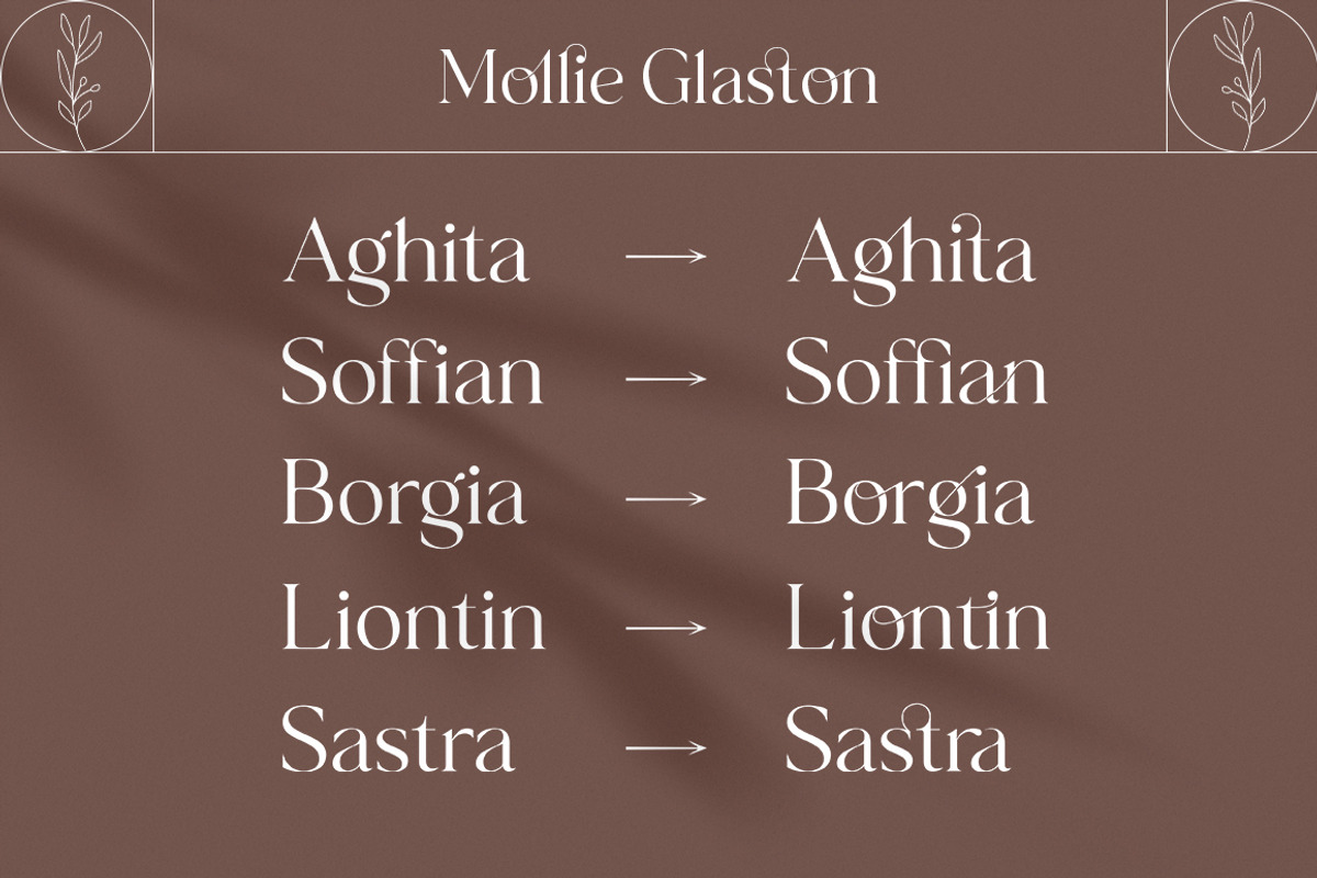 Mollie Glaston-Modern Ligature Serif, a Serif Font by Mulkan Nazir (Photo 12 of 14)