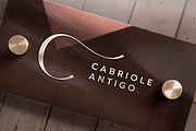 Company Logo Mockup, a Product Mockup by DesignNeutrons (Thumbnail 4 of 6)