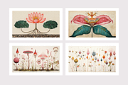 Lufa Co · Surreal Botanics, an Education Illustration by milatovar (Thumbnail 2 of 16)