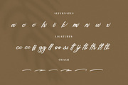 Briliany, a Handwritten Font by Goresan Studio (Thumbnail 12 of 15)