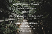 Jungle Display Font, a Script Font by Nadezda (Thumbnail 8 of 8)