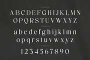 Reign – Display Serif Font, a Font by Almeera Std (Thumbnail 6 of 8)