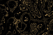25 textures 64 megapixels, a Texture Graphic by tkdesign (Thumbnail 6 of 26)