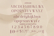 Celestira - Modern Elegant Luxury, a Serif Font by Qweera Studio (Thumbnail 11 of 12)