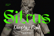 Dx Sitrus - Variable Display Font, a Sans Serif Font by Dirtyline Studio (Thumbnail 1 of 15)