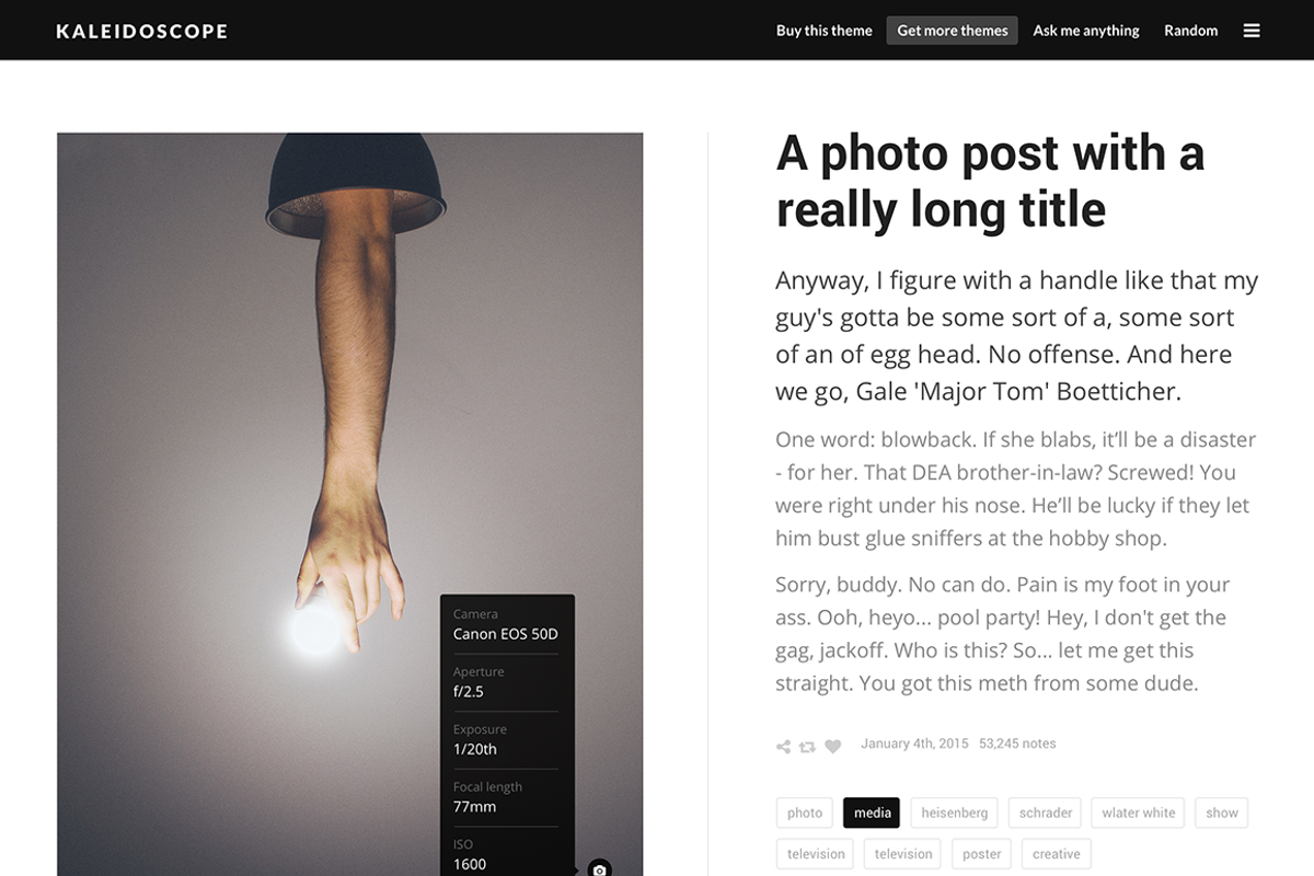 Kaleidoscope tumblr theme, a Websites & App Template by Pixel Revel (Photo 4 of 5)