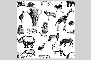 Wild Animals 3