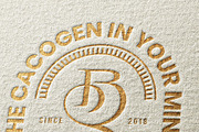 Logo mockup, a Product Mockup by DesignNeutrons (Thumbnail 3 of 4)
