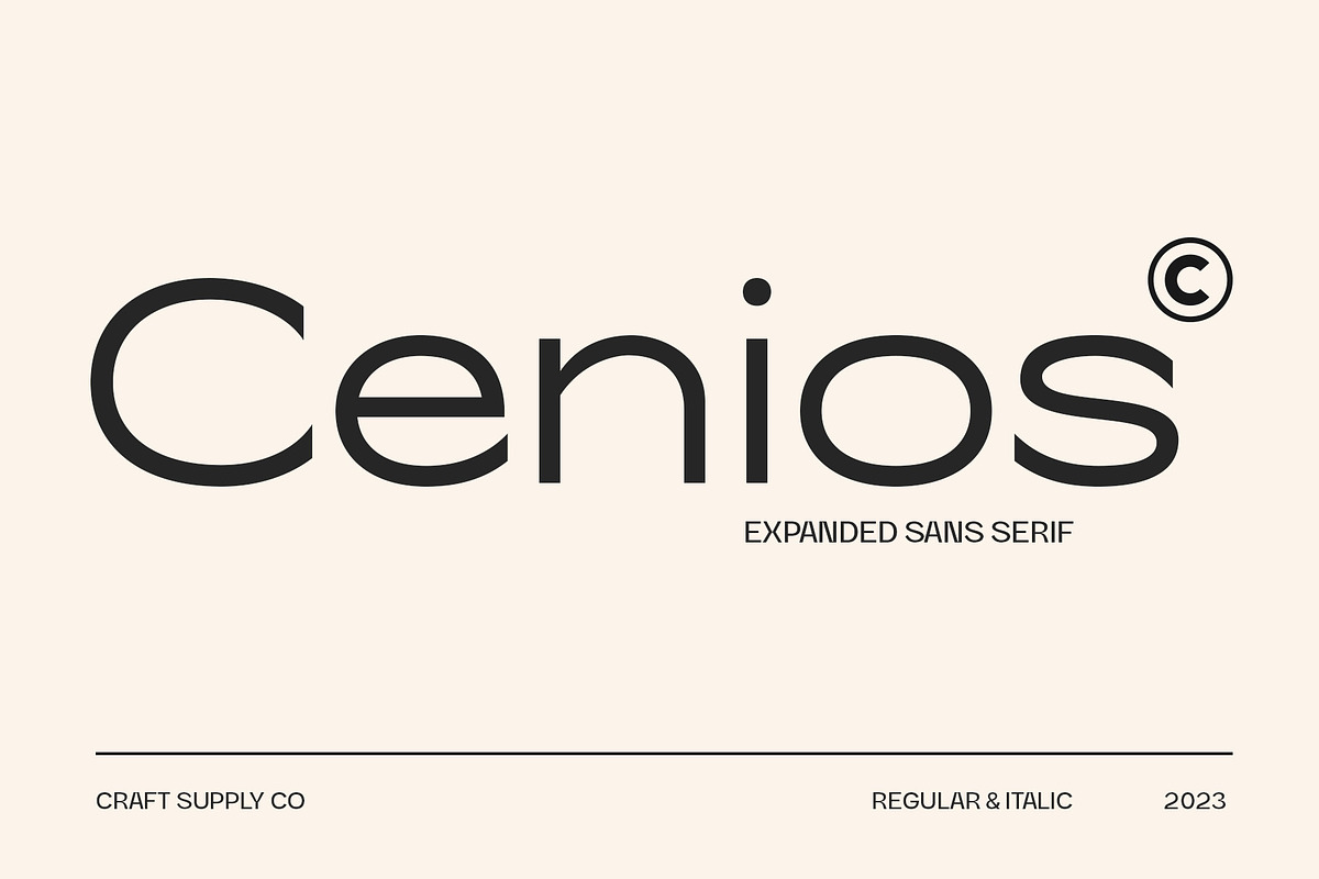 Cenios - Expanded Sans Serif, a Sans Serif Font by Craft Supply Co. (Photo 1 of 8)