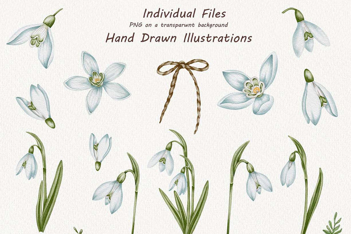 Snowdrops Hand Drawn Clipart, a Seasonal Illustration by BarvArt (Photo 2 of 5)