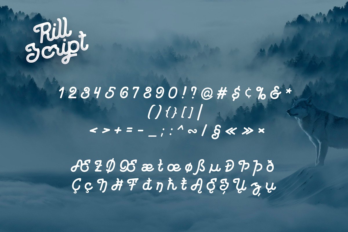 Rill Script preview 6