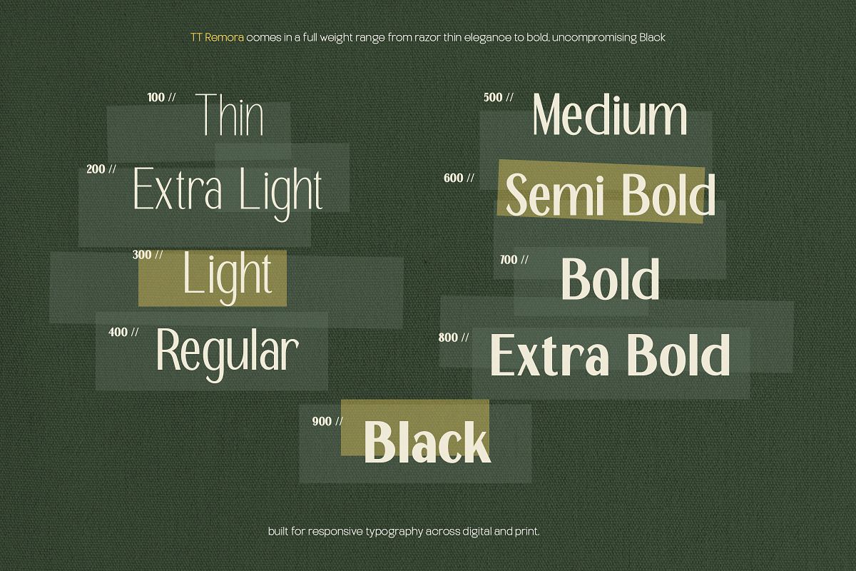 TT Remora – Modern Sans Display, a Sans Serif Font by truetype (Photo 3 of 15)