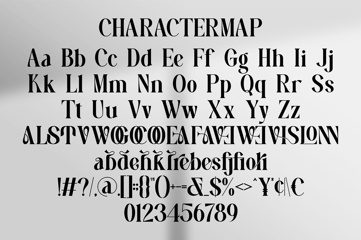 Afira || Modern Serif Font, a Serif Font by Ermedia Studio (Photo 10 of 10)