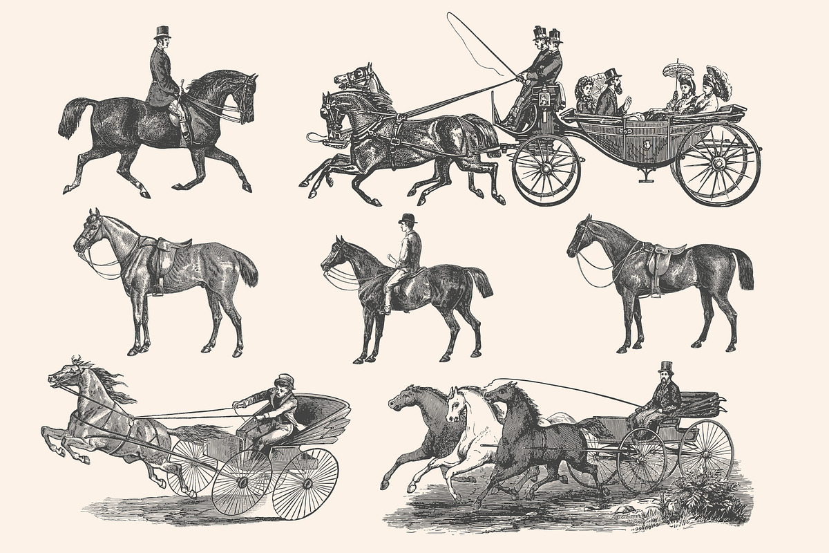 Horses - Vintage Illustration Set, an Illustration by Graphic Goods (Photo 12 of 12)