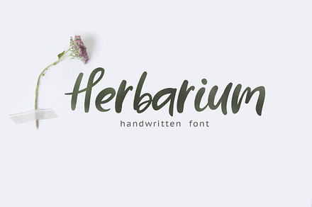 Herbarium font + EXTRAS, a Handwritten Font by AnMark