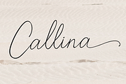 Callina Handwriting Font, a Script Font by LetterJos (Thumbnail 1 of 13)