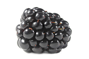 Ripe blackberry isolated, a Photo by saiko3p